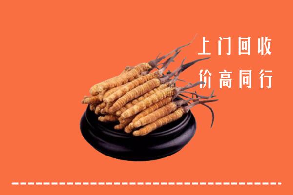 高价求购：黔南州回收散虫草