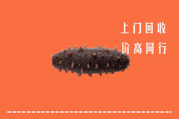高价求购：黔南州回收海参