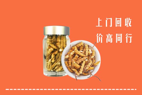 黔南州回收冬虫夏草